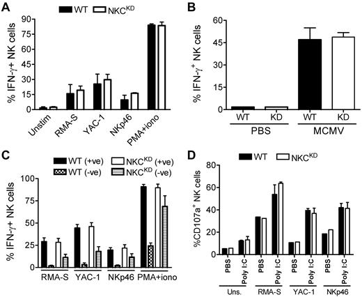 Figure 7. NKCKD NK cells display normal IFN-γ production and degranulation responses. (A) Splenocytes from WT or NKCKD mice pretreated with poly(I:C) were incubated with the indicated tumor cells, on plates coated with anti-NKp46 mAb or with phorbol 12-myristate 13-acetate (PMA)/ionomycin. After 5 hours intracellular staining was performed to assess IFN-γ production by flow cytometry. (B) The frequency of IFN-γ+ NK cells was assessed in the spleens of the indicated mouse strains after 36 hours of infection with Smith strain murine CMV (MCMV). (C) The same assay as in panel A was performed, but splenocytes were additionally stained with anti-Ly49 and NKG2A mAb. Data are shown as the percentage of IFN-γ+ cells among Ly49/NKG2+ and Ly49/NKG2− subsets. (D) CD107a levels on the surface of NK cells were evaluated by flow cytometry after the indicated tumor or mAb stimulations. Mice were pretreated with poly(I:C) or with a PBS control. Data are representative of ≥ 3 similar experiments, except for degranulation assays which were performed twice. Three individual mice were used as a source of splenocytes for each experiment (n = 3). These experiments were performed with mice on the B6 background.