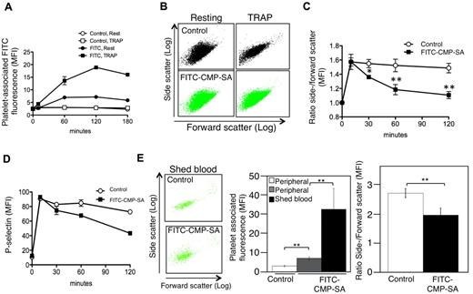 Figure 7. Sialic acid incorporation decreases platelet activation in vitro and in vivo. (A) Platelet-rich plasma from mice was incubated with FITC-conjugated CMP-SA or FITC (Control) at a 40μM final concentration for the indicated time points. At the indicated times, platelets in plasma were activated with 25μM TRAP for 5 minutes (TRAP) or left untreated (Rest), and platelet-associated FITC fluorescence was measured by flow cytometry (n = 2). (B) Representative side and forward scatter plots of platelets isolated from mice 60 minutes after infusion of FITC-SA or FITC (Control) and activated with 25μM TRAP or left untreated (Resting; n = 3). (C) The ratio of side to forward and side scatter platelets isolated from mice injected with FITC-SA (■) and FITC (□, Control) was determined. Unstimulated platelets isolated at 0 minutes were set as 1, and platelet shapes of isolates at 30 and 60 minutes activated with 25μM TRAP were compared. Data are means ± SD (n = 3). n.s. indicates not significant. *P < .05. (D) P-selectin expression was determined after TRAP activation by flow cytometry using a PE-conjugated anti–mouse P-selectin mAb (n = 2). (E) Activation status of platelets isolated from peripheral (Peripheral) or blood shed from a tail wound (Shed blood) 60 minutes after infusion of FITC (Control) or FITC-SA as assessed by light scatter characteristics. In the left panel, platelets are identified by PE–anti-CD61 mAb binding. The FITC mean fluorescence associated with platelets is plotted in the middle panel (n = 3; **P < .01. The right panel shows the ratio of side versus forward scatter of platelets in shed blood obtained from control mice (Control) or mice injected with FITC-SA (FITC-SA; n = 3; **P < .01).