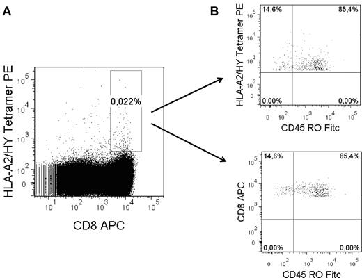 Figure 1. Isolation of HY tetramerpos T cells from female UCB. (A) Example of gate setting for FACS sorting to collect all tetramerpos cells. Gate settings were based on tetramer staining intensity of a well-described HYA2 or HYB7 tetramerpos CTL clone.21 (B) Representative example of CD45RO expression of CD8posHYA2tetramerpos collected T cells.