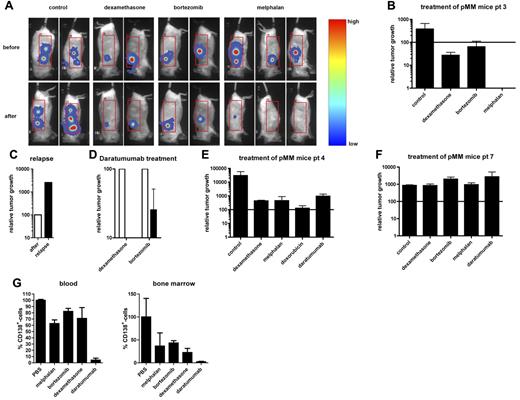 Figure 5. BLI allows visualization of therapy in pMM-bearing mice. (A) Eight weeks after implantation, humanized mice were inoculated with luciferase-marked pMM cells (patient 3) and followed by BLI in time. Seven weeks after tumor inoculation, mice were treated as indicated. Shown are BLI images of representative mice before (week 7; top panels) and 2 weeks after treatment (week 9; bottom panels). (B) Quantification of the therapeutic intervention of mice inoculated with luciferase-marked pMM cells of patient 3. (C) Quantification of the tumor regression (black bar) of a melphalan-treated pMM-bearing mice of patient 3. Results are expressed as relative tumor growth with the growth after treatment (white bar) set to 100. (D) Quantification of daratumumab-treated (black bars) pMM-bearing mice of patient 3, which barely responded to dexamethasone (n = 2) or bortezomib (n = 2). Results are expressed as relative tumor growth with the growth before intervention (white bars) set to 100. (E) Quantification of treatment of mice (n = 2 for control, melphalan, and doxorubicin, and n = 3 for dexamethasone and daratumumab) inoculated with luciferase-marked pMM cells of patient 4. (F) Quantification of treatment of mice (all groups n = 2) inoculated with luciferase-marked pMM cells of patient 7. (G) Analysis of blood (left) and BM (right) for human CD138+ cells after euthanasia of the patient 7 pMM-bearing mice. Results are expressed as the percentage of CD138+ cells with the percentage in the PBS-treated group set to 100. In panels B, E, and F, results are expressed as relative tumor growth with the growth before intervention set to 100 (solid line). In panels B and D through G, bars represent the means ± SEM of the mice within a therapeutic group after treatment.