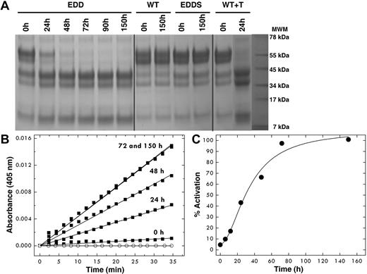 Figure 1. Autoactivation of the EDD mutant of protein C. After affinity chromatography, the protein concentration was adjusted to 0.8 mg/mL and protein C was left at room temperature for 150 hours. (A) SDS-PAGE electrophoresis documents the spontaneous conversion of the EDD mutant of protein C to activated protein C with disappearance of the band at 55 kDa and thickening of the bands in the 34- to 45-kDa range. The chemical identity of the downshifted bands as the activated product was confirmed by N-terminal sequencing and mapped to the sequence LIDGK corresponding to the new N-terminus of the heavy chain of activated protein C. Double bands reflect the intrinsic heterogeneity of protein C resulting from posttranslational modifications.39 The profile after 72 hours becomes identical to that observed on activation of wild-type protein C with thrombin. No autoactivation is observed with wild-type protein C and the inactive mutant EDDS up to 150 hours. (B) The kinetics of autoactivation was monitored from hydrolysis of DRR, a chromogenic substrate specific for activated protein C, under experimental conditions of 5mM Tris, pH 7.4, 145mM NaCl, 2mM CaCl2, 0.1% PEG8000 at 37°C. ○ represents wild-type protein C. (C) The amount of activation of the protein C mutant EDD was monitored over time from the progress curves in panel B and converted into a percentage. The sigmoidal shape of the curve is indicative of the presence of intermediates along the autoactivation pathway, consistent with an autocatalytic process.