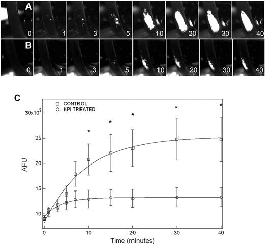 Figure 2. Inhibitory effect of PN2KPI on thrombus development in the FeCl3-induced mouse carotid artery thrombosis model. Thrombus formation is recorded by fluorescence microscopy as described in “Carotid artery thrombosis model.” The image of thrombus growth was captured from video clips recorded at different time points. Thrombus growth (A) in a representative untreated mouse and (B) in a PN2KPI-treated mouse was recorded. (C) Thrombus growth, represented by the artificial fluorescence intensity unit (AFU), was measured at various time points (1, 3, 5, 7,10,15, 20, 30, and 40 minutes) in 6 control (□) and 6 PN2KPI-treated (○) mice. Results shown are mean values ± SEM. *Significant differences with P < .05.