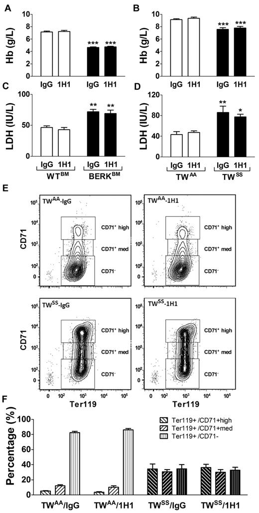 Figure 3. Hemolysis and red blood cell maturation. (A) Levels of hemoglobin (Hb) in WTBM (open bar) or BERKBM (filled bar) mice injected with either a rat anti –mouse TF (n = 5 for WTBM; n = 14 for BERKBM) or control rat IgG antibodies (n = 8 for WTBM; n = 14 for BERKBM). (B) Levels of Hb in TWAA (open bar) or TWSS (filled bar) mice injected with either a rat anti–mouse TF (n = 6 for TWAA; n = 7 for TWSS) or control rat IgG antibodies (n = 7 for TWAA; n = 11 for TWSS). (C-D) Plasma levels of LDH were analyzed in the same group of mice as described for panels A and B. Asterisks directly above the bars indicate statistically significant difference compared with WTBM or TWAA controls within the same treatment: *P < .05; **P < .01; and ***P < .001. (E) Representative density plots demonstrating levels of CD71 expression on Ter119+ cells (red blood cells) from TWAA and TWSS mice treated with 1H1 or IgG. (F) Red blood cell maturation profiles in TWAA or TWSS mice treated with 1H1 or IgG (n = 6-11).