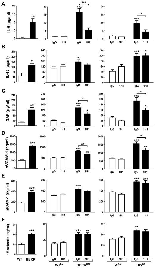 Figure 4. Inflammation and endothelial cell activation in sickle cell mice. Plasma levels of various inflammatory mediators and markers of endothelial cell activation in: WT (open bar; n = 12) and BERK (filled bar; n = 22) mice (left column); WTBM (open bar; n = 5-8) and BERKBM (filled bar; n = 14) mice (middle column) treated with 1H1 or IgG antibodies; TWAA (open bar; n = 6 or 7) and TWSS (filled bar; n = 7-11) mice (right column) treated with 1H1 or IgG antibodies. Asterisks directly above the bars indicate statistically significant difference compared with wild-type controls within the same treatment: *P < .05; **P < .01; and ***P < .001.