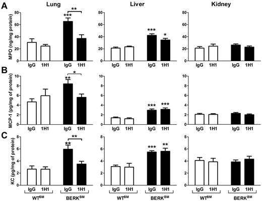 Figure 6. Effect of TF inhibition on MPO and chemokine expressions in BERKBM mice. Tissue levels of MPO (A), MCP-1 (B), and KC (C) were analyzed in WTBM (open bar) or BERKBM (filled bar) mice injected with either a rat anti–mouse TF (n = 5 for WTBM; n = 14 for BERKBM) or control rat IgG antibodies (n = 8 for WTBM; n = 14 for BERKBM). Asterisks directly above the bars indicate statistically significant difference compared with WTBM controls within the same treatment: *P < .05; **P < .01; and ***P < .001.