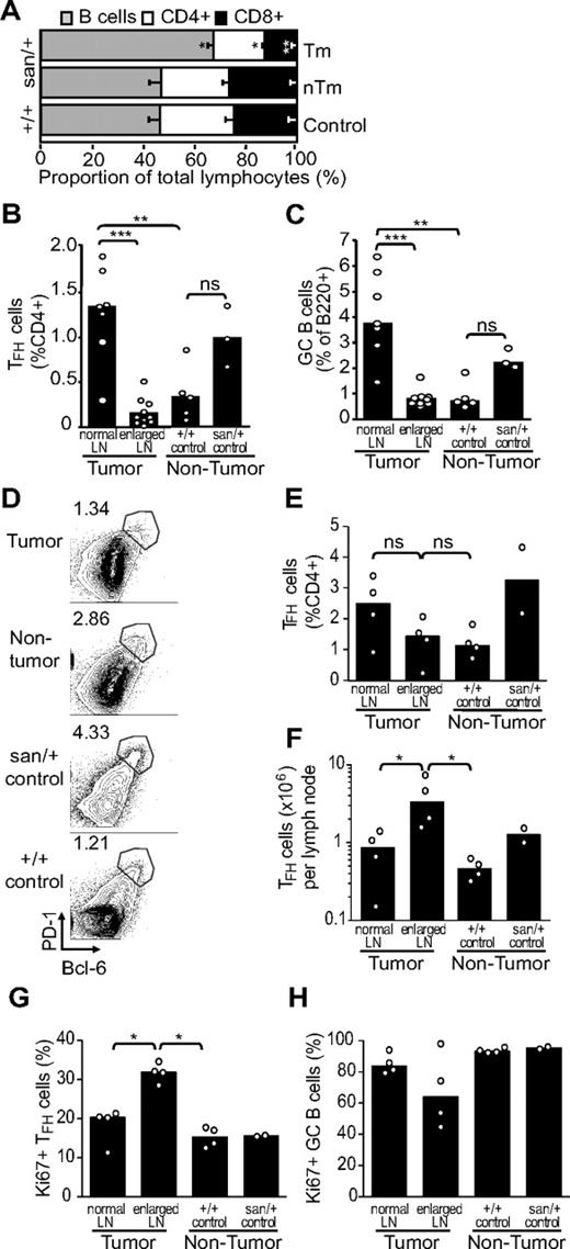 Figure 4. Cellular composition of tumor lymph nodes from Roquinsan/+ mice. Frequency of cellular subsets as measured by flow cytometry. (A) Lymphocyte composition of tumor (Tm) and nontumor (nTm) lymph nodes from Roquinsan/+ and Roquin+/+mice. (B-C) Percentage of TFH (CD4+PD-1hiCXCR5+) and GC B (B220+FAS+GL7hi) cells in enlarged (tumor) and nonenlarged (normal) lymph nodes from Roquinsan/+ mice compared with control Roquinsan/+ and Roquin+/+mice. (D) Representative FACS plots showing the percentage of TFH based on CD4+PD-1hiBcl-6+ cells in tumor, nontumor lymph nodes compared with normal Roquinsan/+ mice. (E-F) Comparison of TFH cells (CD4+PD-1hiBcl-6+), frequency (as %CD4+), and total numbers in tumor and contralateral nontumor lymph nodes compared with lymph nodes from normal Roquinsan/+ mice. (G-H) Proportions of TFH (G) and GC B cells (H) undergoing proliferation, as indicated by expression of Ki-67. Histograms in all panels show the mean with SEM (A) or median (B-H) values of 2 to 10 mice 26 to 40 weeks of age. Results are representative of at least 2 independent experiments. ns indicates not significant. *P < .05; **P < .01; ***P < .001.