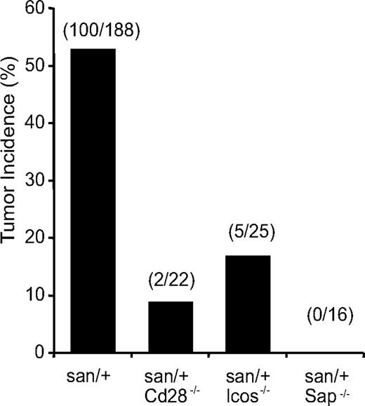 Figure 7. TFH cells are the drivers of tumor development in Roquinsan/+ mice. Incidence of tumors in Roquinsan/+ mice crossed to genetic backgrounds known to reduce TFH cell numbers and function. All mice were 26 to 40 weeks of age.