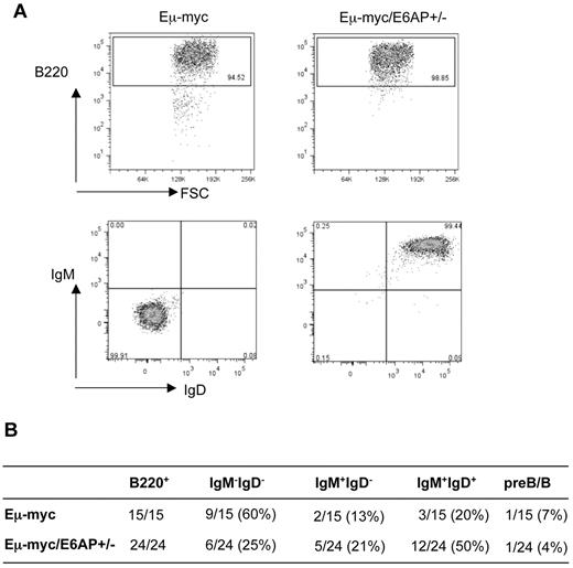 Figure 2. The majority of lymphomas derived from Eμ-myc/E6AP+/− mice display a mature sIg+ B cell immunophenotype. (A) Representative dot plots of the most common immunophenotypic profiles obtained by flow cytometric analyses of Eμ-myc/E6AP+/− and control (E6AP+/+) Eμ-myc lymphomas stained with the antibodies to B220, IgM, and IgD. (B) Summary of immunophenotypic analysis of Eμ-myc/E6AP+/− and control (E6AP+/+) Eμ-myc lymphomas.