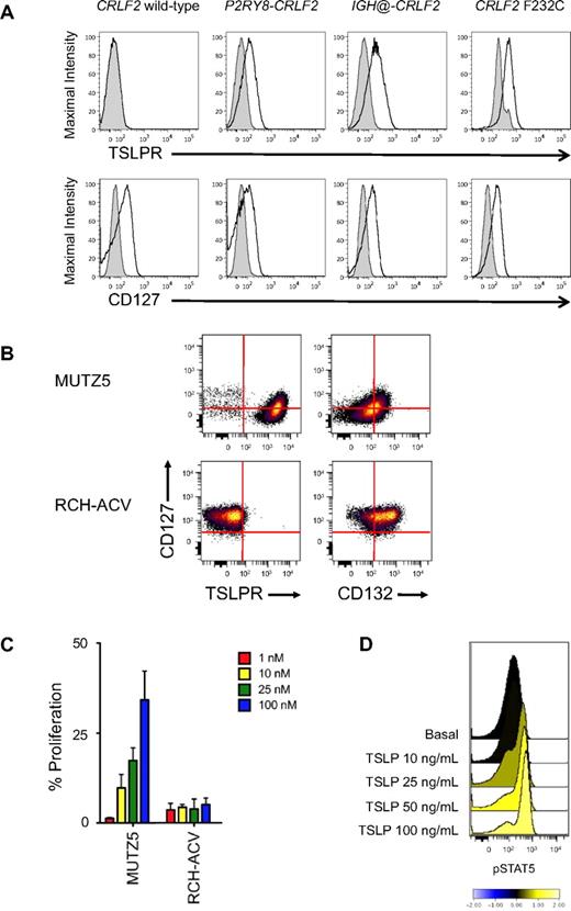 Figure 1. Surface marker, proliferation, and intracellular signal transduction analyses of human CRLF2r and CRLF2wt leukemias. (A) Flow cytometry analysis of primary human CRLF2r and CRLF2wt ALL samples (N = 70; 4 representative samples shown) for the TSLPR and the IL-7Rα chain (CD127). CD10+CD19+ ALL cells with CRLF2 alterations demonstrated increased surface staining of the TSLPR regardless of the mechanism of CRLF2 rearrangement. No increased TSLPR staining was observed for leukemias without CRLF2 alterations. CD127 staining was similar in CRLF2r and CRLF2wt ALL cells. Shaded histograms indicate isotype control, and open histograms, stained cells. (B) Surface marker analysis of human B-precursor CRLF2r JAKmut ALL cell line MUTZ5 and CRLF2wt JAKwt cell line RCH-ACV. MUTZ5 cells stained uniformly for TSLPR, but were intermediate for CD132 (the common γ chain). RCH-ACV demonstrated bright CD127, absent TSLPR, and intermediate-to-bright CD132, suggesting the presence of the normal heterodimeric IL-7R. (C) Incubation of cells with human TSLP for 72 hours resulted in dose-dependent proliferation of MUTZ5, but not of RCH-ACV, measured by MTT assay. Red indicates 1 ng/mL; yellow, 10 ng/mL; green, 25 ng/mL; and blue, 100 ng/mL of TSLP. Data are normalized to the medium-only condition at 72 hours for each cell line. (D) Primary CRLF2r ALL cells were exposed to increasing concentrations of human TSLP for 30 minutes, then fixed and permeabilized for flow cytometric analysis of pSTAT5. Near-maximal STAT5 phosphorylation was elicited with 25 ng/mL of TSLP, the concentration used in the in vitro studies.