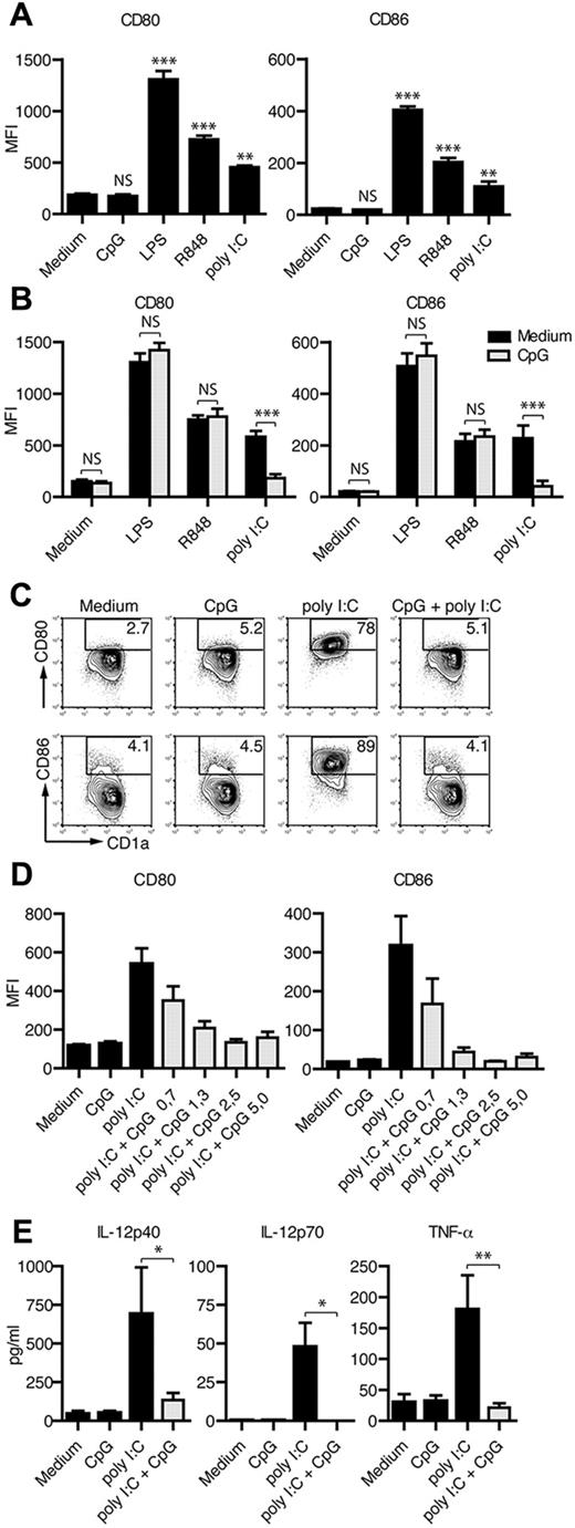 Figure 1. Poly I:C–induced DC activation is inhibited by ssCpG-ODN. (A) Immature DCs were treated for 48 hours with the TLR ligands ssCpG-ODN, LPS, R848, or poly I:C. Flow cytometry was used to measure CD80 and CD86 expression. The results are depicted as mean fluorescent intensity (MFI; mean ± SEM, n = 6). Significant differences compared with medium control were assessed by repeated measures ANOVA with Bonferroni multiple comparison; **P < .01 and ***P < .001. NS indicates nonsignificant. (B) DCs were treated for 48 hours with TLR ligands LPS, R848, and poly I:C as single treatment or in combination with ssCpG-ODN. DC maturation was determined by assessing CD80 and CD86. Flow cytometry results are depicted as the MFI (mean ± SEM values, n = 7 for LPS and R848, and n = 13 for medium and poly I:C treatments). Significant differences comparing with or without ssCpG-ODN were assessed by noparametric Mann-Whitney 2-tailed test; ***P < .001. (C) The expression of CD1a and up-regulation of CD80 and CD86 was measured with flow cytometry on DCs 48 hours after ligand addition and displayed as a representative figure. (D) Dose-response measurement (MFI mean ± SEM values, n = 7) of the ssCpG-ODN inhibitory effect on poly I:C–induced DC maturation. (E) Secretion of proinflammatory cytokines IL-12p40, IL-12p70, and TNF-α in the supernatants at 24 hours was measured using Bio-Plex technology. Significant differences comparing with or without ssCpG-ODN (n = 8) were assessed by nonparametric Mann-Whitney 2-tailed test; *P < .05 and **P < .01.