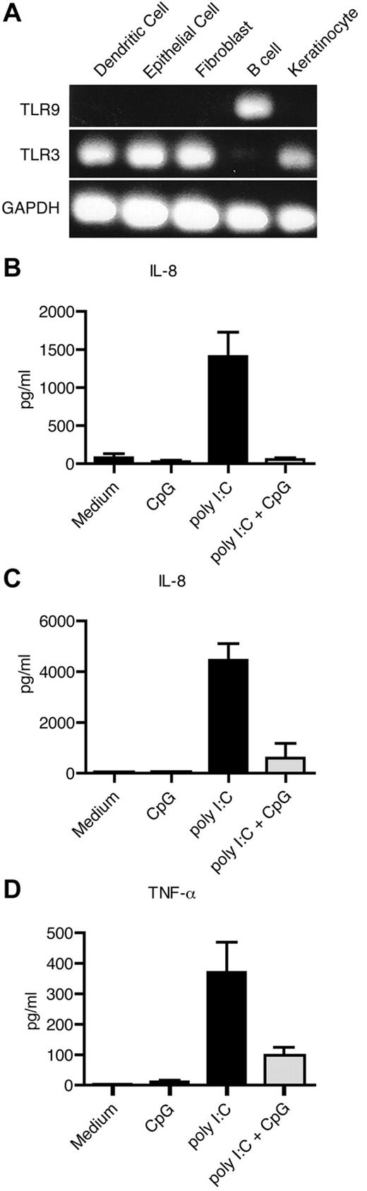 Figure 4. Single-stranded DNA-ODNs inhibit the effect of poly I:C in human nonhematopoietic cells. (A) Expression of TLR3 and TLR9 mRNA was determined by PCR in DCs, 16HBE epithelial cells, MRC5 fibroblasts, primary B cells, and N/TERT human keratinocytes. (B-D) Secretion of IL-8 from keratinocytes (B) and fibroblasts (C), and TNF-α from epithelial cells (D) after 24 hours of TLR stimulation was measured with ELISA. Data from 3 independent experiments run in triplicates are shown.