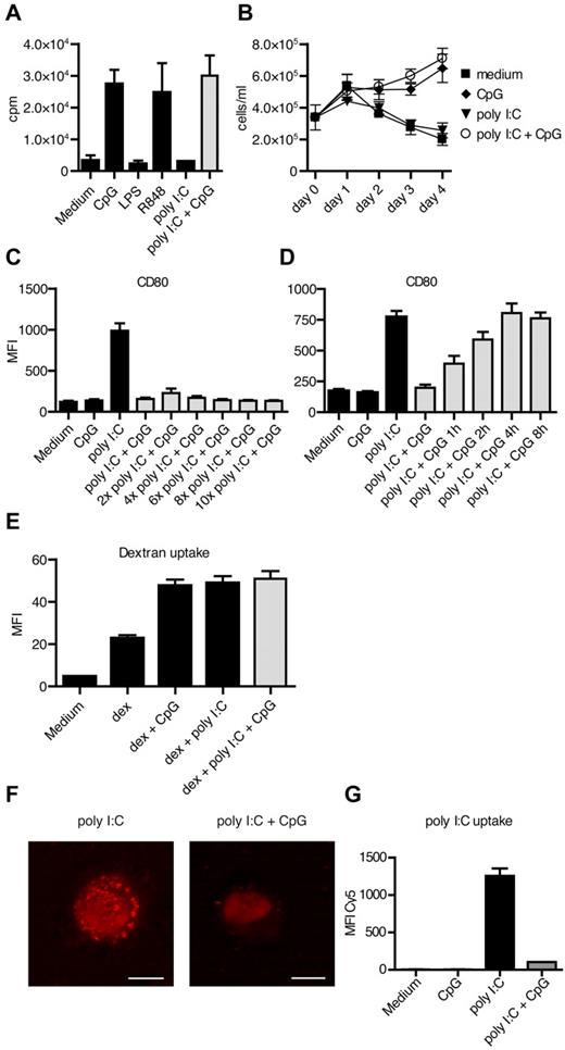 Figure 5. The uptake of poly I:C is prevented by ssDNA-ODN. (A-B) B-cell proliferation after TLR stimulation was measured by (A) 3H-thymidine incorporation and (B) flow cytometry-based cell counting. Data from 3 independent experiments run in triplicates are shown. (C) DC maturation was assessed after 48 hours of culture with ssCpG-ODN and increasing concentrations of poly I:C. The results are depicted as the MFI and are the mean ± SEM values from 6 donors. (D) Kinetic analyses of the inhibitory effect of ssCpG-ODN in poly I:C–stimulated DCs performed in 6 donors. (E) Endocytosis of pHrodo-labeled dextran beads by DCs was measured after 2 hours of culture with ssCpG-ODN, poly I:C, or combined treatment with ssCpG-ODN and poly I:C. (F) Single-stranded CpG-ODN and Cy5-labeled poly I:C (red) was cultured with DC for 15 minutes either alone or in combination and the subcellular location visualized with confocal microscopy. Scale bars are 5 μm. Representative data from 3 independent experiments are shown. (G) Quantitative measurement of Cy5-labeled poly I:C uptake into DC was performed with flow cytometry.