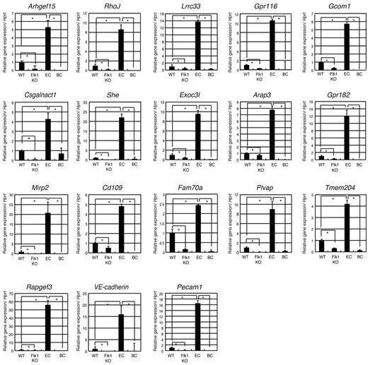 Figure 3. Quantitative RT-PCR analysis of endothelial markers and novel genes in WT, Flk1 KO embryos, and ECs. Quantitative RT-PCR analysis showed that Arhegf15, RhoJ, Lrrc33, Gpr116, Gcom1, CSgalnact1, She, Exoc3l, Arap3, Gpr182, Mirp2, Cd109, Fam70a, Plvap, Tmem204, and Rapgef3 were down-regulated in Flk1 KO embryos proper and were highly expressed in developing ECs (Flk1 GFP high cells), but not in hematopoietic cells. VE-cadherin and Pecam1 are endothelial markers. BC indicates blood cells.
