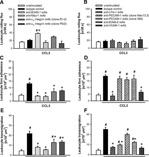Figure 3. Role of β2 and α4 integrins as well as PECAM-1, ICAM-1, ICAM-2, and VCAM-1 for CCL3-elicited leukocyte responses. (A-B) Leukocyte rolling, (C-D) firm adherence, and (E-F) transmigration were quantified in postcapillary venules of the cremaster muscle using RLOT in vivo microscopy as detailed in “Quantification of leukocyte kinetics and microhemodynamic parameters.” Panels show results for PBS-treated WT control mice as well as for WT mice receiving blocking mAbs directed against LFA-1, Mac-1, α4 integrins, PECAM-1 (clone Mec13.3), ICAM-1, ICAM-2, and VCAM-1 or isotype control and a nonblocking anti-PECAM-1 mAb (clone 390) after stimulation with CCL3 (mean ± SEM for n = 4 per group; #P < .05, vs unstimulated; *P < .05, vs isotype control).