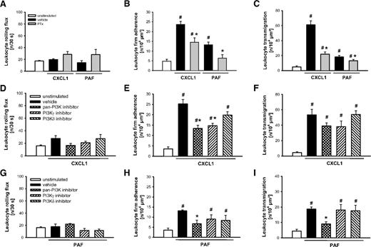 Figure 4. Role of G protein–receptor coupling and PI3K for CXCL1- and PAF-elicited leukocyte responses. (A,D,G) Leukocyte rolling, (B,E,H) firm adherence, and (C,F,I) transmigration were quantified in postcapillary venules of the cremaster muscle using RLOT in vivo microscopy as detailed in “Quantification of leukocyte kinetics and microhemodynamic parameters.” Panels show results for PBS-treated WT control mice as well as for WT mice receiving PTx, the PI3K inhibitors PI103 (pan-PI3K), AS605240 (PI3Kγ), and IC87114 (PI3Kδ), or respective vehicle after stimulation with CXCL1 or PAF (mean ± SEM for n = 4 per group; #P < .05, vs unstimulated; *P < .05, vs vehicle).