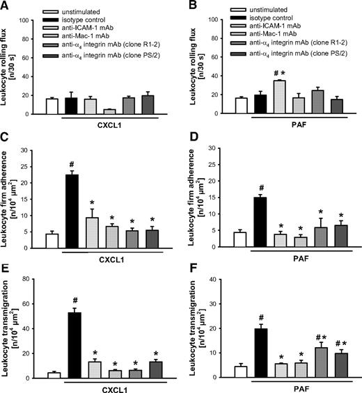 Figure 5. Role of Mac-1, α4 integrins, and ICAM-1 for CXCL1- or PAF-elicited leukocyte responses. (A-B) Leukocyte rolling, (C-D) firm adherence, and (E-F) transmigration were quantified in postcapillary venules of the cremaster muscle using RLOT in vivo microscopy as detailed in “Quantification of leukocyte kinetics and microhemodynamic parameters.” Panels show results for PBS-treated WT control mice as well as for WT mice receiving blocking mAbs directed against Mac-1, α4 integrins, ICAM-1, or isotype control after stimulation with CXCL1 or PAF (mean ± SEM for n = 4 per group; #P < .05, vs unstimulated; *P < .05, vs isotype control).