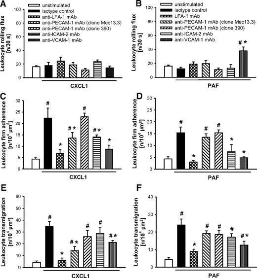 Figure 6. Role of LFA, PECAM-1, ICAM-2, and VCAM-1 for CXCL1- or PAF-elicited leukocyte responses. (A-B) Leukocyte rolling, (C-D) firm adherence, and (E-F) transmigration were quantified in postcapillary venules of the cremaster muscle using RLOT in vivo microscopy as detailed in “Quantification of leukocyte kinetics and microhemodynamic parameters.” Panels show results for PBS-treated WT control mice as well as for WT mice receiving blocking mAbs directed against LFA-1, PECAM-1 (clone Mec13.3), ICAM-2, and VCAM-1 or isotype control and a nonblocking anti–PECAM-1 mAb (clone 390) after stimulation with CXCL1 or PAF (mean ± SEM for n = 4 per group; #P < .05, vs unstimulated; *P < .05, vs isotype control).