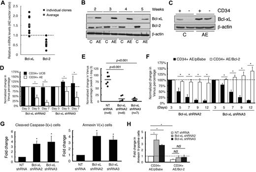Figure 1. Bcl-xL is up-regulated in association with AE expression and is critical for the survival of AE cells. (A) CD34+ UCB cells were transduced with vector- or AE-expressing retroviruses, followed by lysis for RNA extraction and quantitative PCR for Bcl-xL and Bcl-2. c-abl gene expression was used for normalization. (B) CD34+ UCB cells were transduced with vector (C) or AE-expressing retrovirus, followed by lysis for protein extraction and immunoblotting at indicated time points. (C) CD34+ and CD34− AE cells were separated using magnetic beads, followed by lysis for protein extraction and Western blotting. (D) CD34+ UCB or AE cells were transduced with NT shRNA, Bcl-xL shRNA2, or Bcl-xL shRNA3. The percentage of transduced AE cells was determined by flow cytometry at days 3, 5, and 7. The percentages at days 5 and 7 were normalized to day 3 within each group, followed by normalizing each time point in the Bcl-xL shRNA2 and Bcl-xL shRNA3 groups to the NT shRNA group. Data represents mean ± standard deviation (SD; n = 4;*P < .05). (E) Scatter plots showing percent change in Venus(+) cells at week 6 compared with initial transduction efficiency at day 3. Total BM cells were obtained by flushing the injected bone with PBS using a 28-G needle, followed by red blood cell lysis and labeling of the remaining cells with antibody against human CD45 surface antigen for flow cytometry analysis. Each dot represents 1 mouse. Bars indicate mean. (F) CD34+ AE/pBabe or AE/Bcl-2 cells were transduced with NT shRNA, Bcl-xL shRNA2, or Bcl-xL shRNA3. The percentage of transduced AE cells was determined by flow cytometry at indicated time points, followed by normalization as described in panel D. Data represents mean ± SD (n = 5; *P < .05). (G) Left: shRNA-transduced AE cells were fixed and permeabilized at day 3, followed by intracellular labeling with antibody against active caspase 3 for flow cytometry analysis. Right: shRNA-transduced AE cells were labeled with annexin-V and 7-AAD at day 3 for flow cytometry analysis. Data represents Mean ± SD (n = 3; *P < .05). (H) CD34+ AE/pBabe or AE/Bcl-2 cells were transduced with NT shRNA, Bcl-xL shRNA2, or Bcl-xL shRNA3. Transduced cells were sorted, followed by labeling with annexin V and 7-AAD for flow cytometry analysis. Data represents Mean ± SD (n = 3; *P < .05; NS indicates nonsignificant).