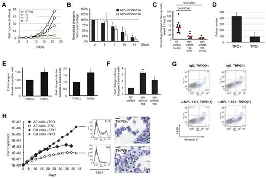 Figure 4. THPO/MPL signaling is essential for AE cells. (A) AE cells incubated with indicated cytokines were counted biweekly. One representative experiment was shown. The experiment was repeated 3 times using 2 AE clones with consistent results. (B) AE cells were transduced with NT shRNA, MPL shRNA194, or MPL shRNA195. The percentage of transduced AE cells were determined by flow cytometry at indicated time points, followed by normalization as described in Figure 1D. Data represent mean ± SD (n = 3; *P < .05) compared with day 3. (C) Scatter plots showing percentage change in Venus(+) cells at week 6 compared with initial transduction efficiency at day3. Total BM cells were obtained by flushing the injected bone with PBS using a 28-G needle, followed by red blood cell lysis and labeling of the remaining cells with antibody against human CD45 surface antigen for flow cytometry analysis. Each dot represents one mouse. Red bars indicate mean. (D) Cells were seeded in methylcellulose media containing KG36E (THPO−) or KG36ET (THPO+) at 5 × 104 per dish in triplicate. Colony numbers were scored after 14 days under a light microscope. One representative experiment is shown. Results were confirmed with 3 additional AE clones. Data represents mean ± SD (n = 3). (E) AE cells incubated with KF36 ± THPO for 3 days were stained with annexin V (left), or permeabilized and stained for active caspase 3 (right), followed by flow cytometry analysis. (F) AE cells transduced with indicated shRNAs were permeabilized and stained for active caspase 3, followed by flow cytometry analysis. (G) AE cells treated with respective anti-MPL antibodies with protocols described for Figure 3C were stained with annexin V and 7-AAD for flow cytometry analysis. (H) CD34+ UCB cells with or without AE transduction were cultured in media in KF36 ± THPO. Cell counting was performed biweekly using a hemocytometer. Data shown represents 1 UCB and 1 AE clone. The curves representing UCB THPO+ and THPO− groups overlap with each other. Consistent results were obtained from 3 additional UCB clones and 2 additional AE clones. At day 28, an aliquot of AE cells were labeled with anti-CD34 antibodies for flow cytometry analysis or were cytocentrifuged for Wright-Giemsa staining.