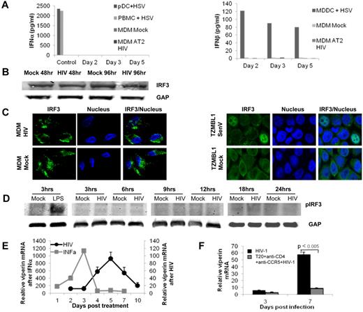 Figure 1. HIV-1 infection specifically induces viperin in MDMs without IFN induction. (A) HIV-1 infection of MDMs does not induce type 1 IFN. MDMs were treated with HIV-1 or AT2–HIV-1. IFN-α and IFN-β levels in the supernatants were determined by ELISA (R&D Systems). As a positive control for IFN induction, PBMCs and plasmacytoid DCs (IFN-α) or MDDCs (IFN-β) were treated with HSV-2186. Data are representative of 3 experiments. (B) HIV-1 infection does not degrade IRF3. A representative Western blot of IRF-3 expression in MDMs on days 2 and 4 after treatment with HIV-1 at an MOI of 1 compared with mock treatment using an anti-IRF3 and GAPDH antibodies. (C) HIV-1 inhibits IRF3 translocation from cytoplasm to nucleus. IRF3 cellular localization was examined in mock- and HIV-1–treated MDMs at 48 hours. TZM-bl cells infected with Sendai virus were used as a positive control for the nuclear IRF3 translocation. Fluorescently labeled cells were visualized with an inverted Olympus IX-70 microscope (DeltaVision Image Restoration Microscope; Applied Precision/Olympus) using a numerical aperture oil immersion lens (1.4 or 1.43) and a photo-metrics CoolSnap QE camera. The representative z-series were deconvoluted, the pictures overlaid; colocalization and significance were performed using SoftWoRx software (Version 3.4.5; Universal Imaging Corporation) as described previously.28 Images shown are representative of n = 20 cells. (D) HIV-1 does not lead to phosphorylation of IRF3. A representative Western blot of phospho-IRF-3 expression in MDMs after 3, 6, 9, 12, 18, and 24 hours after treatment with HIV-1 at an MOI of 1 compared with lipopolysaccharide stimulated (1 μg/mL) MDMs using antiphospho-IRF3 and GAPDH antibodies. (E) Kinetics of mRNA viperin induction by HIV-1 compared with IFN-α. MDMs were treated with either HIV-1 at an MOI of 0.25 or IFN-α/2β (500 U/mL). RNA was extracted at different time points, reverse transcribed, and viperin mRNA expression was assessed by quantitative PCR relative to GAPDH. The mean data from 3 experiments are shown with SE bars. (F) Inhibitors of HIV-1 binding, fusion, and entry inhibit viperin expression in MDMs. MDMs were either infected with HIV-1 only or treated with a combination of the fusion inhibitor T20 (1 mg/mL), soluble recombinant CD4 (NIH), and the anti-CCR5 (CD195, BD Biosciences PharMingen) antibodies at 20 μg/mL each, then infected. Total RNA was harvested, and viperin expression was measured by quantitative PCR relative to GAPDH. The mean data from 3 experiments are shown with SE bars.