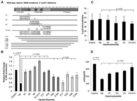 Figure 4. SAM mutants increased HIV-1 production in HEK293T. (A) Schematic structure of the viperin protein showing N- and C-terminal truncations and SAM domain mutants. (B-D) HEK293T were cotransfected with pWT/BaL proviral HIV-1 DNA and a panel of either WT viperin or SAM mutants (S1, S2, S3, S1 + S2 + S3; individually) or 5′ or 3′ truncation mutants (5′17, 5′33, 5′50, 5′100, 3′17, 3′33, 3′50, 3′100; individually) or plasmid control (pLNCX2 vector). (B) SAM domain mutations significantly reverse viperin inhibition of HIV-1. Viral production was quantified on TZM-bl as in Figure 2C. Histograms show relative fold changes in the percentage of HIV-1 infection, which is indicative of HIV production from the HEK293T cells. The mean data from 3 experiments are shown with SE bars. (C) WT viperin and SAM mutants do not diminish the proportion of HIV-1–infected cells. After 48 to 72 hours after transfection, staining for intracellular p24 was performed. The percentage of intracellular p24 cells was determined by gating against non-pBaL–transfected cultures by flow cytometry. The mean data from 4 experiments are shown with SE bars. (D) SAM domain mutants up-regulate total extracellular p24 released in the culture supernatants compared with WT viperin. Supernatants from HEK293T cell cotransfectants were collected at 72 hours after transfection, and levels of extracellular virus were quantified by p24 ELISA (XpressBio) according to the manufacturer's instructions. The mean data from 4 experiments are shown with SE bars.