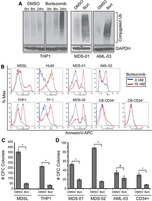 Figure 1. Inhibitory effect of bortezomib on MDS and AML cell viability and progenitor function. (A) THP1 cells were treated with 10nM bortezomib or DMSO for the indicated times. Protein lysates were immunoblotted for ubiquitin-conjugated proteins and GAPDH (left panel). BM cells from MDS (MDS-01) and AML (AML-03) patients were treated with 10nM bortezomib or DMSO for 24 hours and evaluated by immunoblotting for ubiquitin and GAPDH (right panels). (B) The indicated cell lines and primary patient samples were treated with bor-tezomib for 24 hours and analyzed for cell survival by staining for annexin V+ cells. (C) Hematopoietic stem/progenitor cell colony-forming potential of THP1 and MDSL cell lines treated with bortezomib (10nM) was determined in methylcellulose. (D) Hematopoietic stem/progenitor cell colony-forming potential of control CD34+ cells and BM cells from MDS (MDS-01 and MDS-02) and AML (AML-03) patients treated with bortezomib (10nM) was determined in methylcellulose. Colonies were evaluated after 10 days. *P < .05; #P < .1.