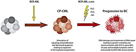 Figure 1. Mechanisms of BCR-ABL activity in CML and blast crisis, leading to stimulation of proliferation and to induction of genetic instability, DNA damage, and impaired DNA repair. Reactive oxygen species induced by BCR-ABL are thought to mediate DNA damage and genetic instability. Data are from Skorski,34 Melo and Barnes,31 Radich,32 and Perrotti et al.33