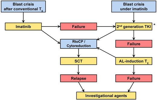 Figure 4. Management algorithm of CML-BC. Mainstays are TKI and rapid allo-SCT. *2nd generation TKI and AL-induction therapy may be combined.