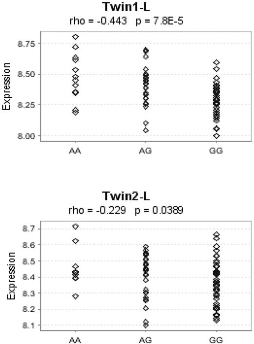 Figure 1. Lower BAK1 expression associated with the G allele of rs210134 in lymphoblastoid cell lines. We assessed the correlation between normalized BAK1 gene expression and the count of the G allele of rs210134 using Spearman rank correlation and publicly available Sentrix Human-6 Expression BeadChips (Illumina) data on 156 lymphoblastoid cell lines derived from healthy female twins as part of the MuTHER project17 as of December 15, 2008 (GENEVAR project). The G allele is associated with the elevated risk of CLL.