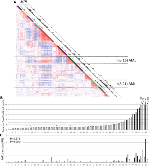 Figure 1. t(8;21)–positive AML cells express MPL and respond to THPO induction. (A) Expression Correlation View (2856 probe sets) of 285 human AML samples, adapted from Valk et al.26 The 16 clusters identified on the basis of the Correlation View are shown by different colors alongside the Correlation View (1-16). Clusters 9 and 13, aggregating all AML cells with inv(16) and t(8;21), respectively, are indicated by horizontal lines. Expression of MPL (detected by 3 independent probe sets 207550_at, 211903_s_at, 216825_s_at) is plotted in the latter 3 columns in which the bars are proportional to the MPL expression level. (B) Relative proliferation levels of 86 human AML cells in response to THPO as single cytokine. Samples were incubated with THPO or PBS for 3 days, and proliferation was tested by 3H-thymidine incorporation. The fold increase in proliferation with THPO was normalized to that without cytokine and ordered by increasing response. Samples carrying t(8;21) translocation (black bar) and inv(16) rearrangement (“v” mark) are shown. (C) MPL transcript levels determined by quantitative RT-PCR in human AML samples that were subjected to proliferation assays. The MPL levels are the average of duplicate values and relative to the average value of 6 healthy CD34+ BM samples (REL). Correlation between MPL expression and THPO response was performed by R statistics (R = 0.572, P < .001).