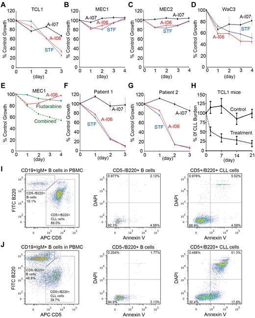 Figure 7. STF-083010 and its decomposed product, A-I06, stall growth of CLL cells by inducing apoptosis. (A) Eμ-TCL1 CLL cells, (B) MEC1 cells, (C) MEC2 cells, and (D) WaC3 cells were untreated or treated with STF-083010 (50μM), A-I06 (50μM), or A-I07 (50μM) for a course of 3 or 4 days, and subjected to XTT assays at the end of each day. Percentages of growth were determined by comparing treated with untreated groups. Each data point derived from 4 independent groups receiving exactly the same treatment was plotted as mean ± SD. (E) MEC1 cells were untreated or treated with A-I06 (50μM), fludarabine (30μM), or the combination of both for a course of 4 days, and subjected to XTT assays. Data derived from the same experimental settings were plotted as mean ± SD. (F-G) Primary human CLL cells isolated from patient 1 and patient 2 were untreated or treated with STF-083010 (50μM), A-I06 (50μM), or A-I07 (50μM) for a course of 3 days, and subjected to XTT assays. Data derived from the same experimental settings were plotted as mean ± SD. Results are representative of 3 independent experiments. (H) Eμ-TCL1 mice with high percentage of CLL cells in the peripheral blood were identified and injected intraperitoneally with vehicle (n = 9) or A-I06 (60 mg/kg; n = 5) on day 0, day 1, day 12 and day 13. The percentage of CLL cells in PBMCs for each mouse was determined by flow cytofluorometry on day 2, day 7, day 14, and day 21, and compared with the CLL burden data of the mouse on day 0 (100%). Data derived from multiple mice receiving exactly the same treatment were plotted as mean ± SEM. (I) PBMCs isolated from Eμ-TCL1 CLL mice injected with vehicle for 24 hours were stained with CD19-APC-Cy7, IgM–Alexa 568, CD5-APC, B220–Alexa 488, annexin V–PE, and DAPI. CD5−/B220+ B cells and CD5+/B220+ CLL cells were analyzed on gated CD19+/IgM+ B-cell populations (left panel). CD5−/B220+ B cells and CD5+/B220+ CLL cells were further gated, and analyzed for the presence of annexin V+ and DAPI+ populations (middle and right panels). Data are representative of 4 independent experiments. (J) PBMCs isolated from A-I06–injected Eμ-TCL1 CLL mice were stained with CD19-APC-Cy7, IgM–Alexa 568, CD5-APC, B220–Alexa 488, annexin V–PE and DAPI. CD5−/B220+ B cells and CD5+/B220+ CLL cells were analyzed on gated CD19+/IgM+ B-cell populations (left panel). CD5−/B220+ B cells and CD5+/B220+ CLL cells were further gated, and analyzed for the presence of annexin V+ and DAPI+ populations (middle and right panels). Data are representative of 4 independent experiments.