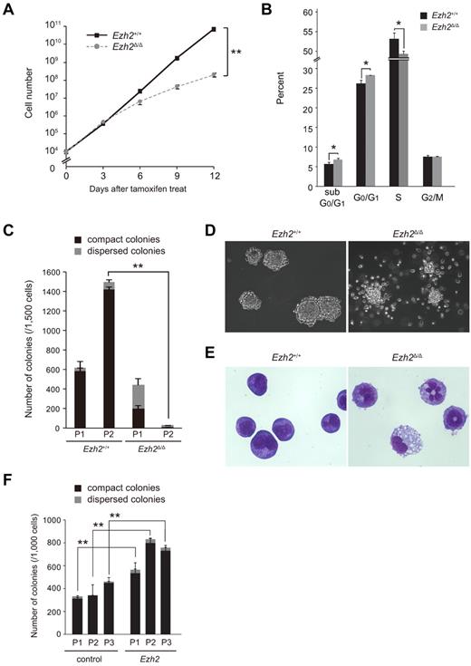 Figure 2. Deletion of Ezh2 compromises the proliferative capacity of MLL-AF9–transformed GMPs. (A) Growth of MLL-AF9–transformed GMPs after deletion of Ezh2. MLL-AF9–transformed GMPs (1 × 104 cells each) with the indicated genotypes were cultured in IMDM with 20% FCS, SCF, FP6, GM-CSF, and IL-3 (10 ng/mL each) and their growth monitored every 3 days. The data are shown as the means ± SD for triplicate analyses. **P < .01. (B) Cell-cycle status and apoptosis of MLL-AF9–transformed GMPs after deletion of Ezh2. MLL-AF9–transformed Ezh2+/+ and Ezh2Δ/Δ GMPs in panel A were pulsed with BrdU for 30 minutes and then stained with anti-BrdU Ab and 7-amino-actinomycin D. The percentage of cells in each phase of cell cycle and sub-G0/G1 apoptotic cells are shown as the means ± SD for triplicate analyses in a bar graph. *P < .05. (C) Replating efficiency of MLL-AF9–transformed GMPs after deletion of Ezh2. MLL-AF9–transformed GMPs (1500 cells) with the indicated genotypes were serially replated in methylcellulose medium containing 50 ng/mL of SCF, 10 ng/mL of FP6, 10 ng/mL of GM-CSF, 10 ng/mL of IL-3, and 100nM 4-OHT. The black and gray bars represent compact and dispersed colonies, respectively. The data are shown as the means ± SD for triplicate analyses. **P < .01. P1 and P2 denote platings 1 and 2, respectively. (D) Morphology of MLL-AF9–transformed GMP colonies. Representative colonies with indicated genotypes observed under an inverted microscope are depicted. Magnification ×100. (E) Typical cell morphology of MLL-AF9–transformed GMPs with indicated genotypes after 2 rounds of plating. Cells were cytospun onto glass slides and observed after May-Giemsa staining. Magnification ×400. (F) Effect of overexpression of Ezh2 in replating efficiency of MLL-AF9–transformed GMPs. MLL-AF9–transformed Cre-ERT;Ezh2+/+ GMPs were infected with a control vector virus or an Ezh2 lentivirus. Infected cells were purified by cell sorting using green fluorescent protein as a marker, and were serially replated as in panel C without 4-OHT. The black and gray bars represent compact and dispersed colonies, respectively. The data are shown as the means ± SD for triplicate analyses. **P < .01. P1, P2, and P3 denote platings 1, 2, and 3, respectively.