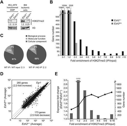 Figure 5. Ezh2 regulates genes relevant to the development and differentiation processes. (A) Levels of H3K27me3 in MLL-AF9–transformed GMPs and BM leukemic cells. Histones were extracted from Ezh2+/+ or Ezh2Δ/Δ–transformed GMPs or CD45.2+ leukemic cells isolated from primary recipient mice and analyzed by Western blotting using an anti-H3K27me3 Ab. Levels of H3K27me3 were normalized to the amount of H3 and are indicated relative to Ezh2+/+ control values. The levels of H3K27me3 in Ezh2+/+ cells were arbitrarily set to 1. (B) Summary of H3K27me3 enrichment detected by ChIP-seq analysis. CD45.2+ Ezh2+/+ and Ezh2Δ/Δ leukemic cells isolated from primary recipient mice were subjected to ChIP-seq analysis using an anti-H3K27me3 Ab. The fold enrichment values of H3K27me3 signals were calculated against the input signals (IP/input) from 5.0 kb upstream to 3.0 kb downstream of the TSS of RefSeq genes. (C) Pie graphs illustrating the proportion of categories of GO terms showing significant differences. GO analysis was performed using 1021 genes with the H3K27me3 enrichment (WT IP/WT input) greater than 3-fold in the control AML cells (left) and 584 genes that showed a reduction in H3K27me3 enrichment (WT IP/KO IP) more than 2-fold on deletion of Ezh2 (right). (D) A scatter diagram of microarray analysis. Lin−Sca-1−c-Kit+FcγRII/IIIhi BM leukemic cells were isolated from primary recipient mice and analyzed by microarray-based expression analysis. The average signal levels of Ezh2Δ/Δ cells compared with those of Ezh2+/+ cells are plotted. The light and dark gray lines represent the borderline for a 2-fold increase and a 2-fold decrease, respectively. Egr1 is indicated with a diamond. (E) Correlation of derepression in expression in Ezh2Δ/Δ leukemic cells in terms of the degree of H3K27me3 enrichment. The genes up-regulated on deletion of Ezh2 (Ezh2Δ/Δ/control leukemic cells > 1.0 in microarray analysis) were analyzed in terms of the degree of H3K27me3 enrichment in the control leukemic cells detected by ChIP-seq. The fold enrichment values for H3K27me3 were binned (each bin containing 1.0-fold enrichment). The number of genes in a bin and the average degree of up-regulation are indicated as bars and circles, respectively.