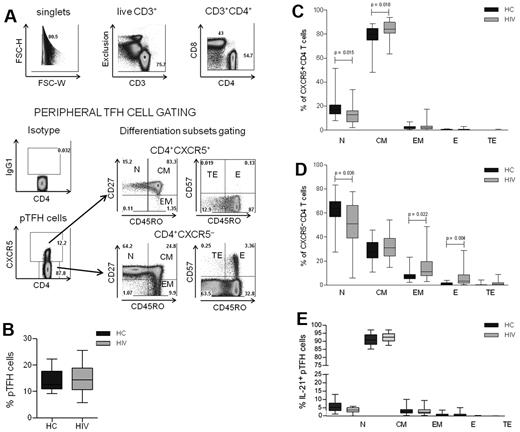 Figure 1. Characterization of peripheral TFH cells in HCs and HIV-infected patients. (A) Representative dot plots show gating strategy for pTFH cells, defined as CD4+CXCR5+ cells in an HIV-infected patient. Isotype control Ab was used to set the gate for CXCR5. T-cell differentiation subsets in the CD4+CXCR5+ and CD4+CXCR5− subsets were based on the surface expression of CD45RO, CD27, and CD57 as TN (CD45RO−CD27+), TCM: (CD45RO+CD27+), TEM (CD45RO+CD27−), TE (CD45RO+CD57+), and TTE (CD45RO−CD57+). (B) Frequency of pTFH (CD4+CXCR5+) cells are indicated as a percentage of total CD4 T cells in HCs and HIV-infected patients. (C-D) Distribution of CD4+CXCR5+ (C) and CD4+CXCR5− (D) cells within the differentiation subsets. Box plots represent median with 25th and 75th percentile borders. Error bars represent 10th and 90th percentile means from 17 HCs and 25 HIV-infected aviremic patients. (E) Phenotyping for differentiation subsets in IL-21+ pTFH cells obtained after 5 hours of stimulation with 50 ng/mL of PMA, 1 μg/mL of ionomycin, and 10 μg/mL of brefeldin A.