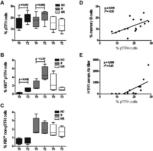 Figure 2. pTFH cell expansion in vaccine responders is correlated with Ab production and B-cell differentiation. (A) Frequency of pTFH (CD4+CXCR5+) cells indicated as a percentage of total CD4 T cells in HCs and HIV-infected patients who were responders (R) or nonresponders (NR) to H1N1/09 influenza vaccine. Peripheral TFH cell frequencies were measured prevaccination (T0) and 4 weeks after vaccination (T2). (B-C) Frequency of Ki67+ pTFH (B) and non-pTFH (CD4+CXCR5−; C) cells at T0 and at T2. Box plots represent median with 25th and 75th percentile borders. Error bars represent the 10th and 90th percentile means from 8 HCs, 8 HIV+ responders, and 8 HIV+ nonresponders. (D-E) Linear correlation between frequency of pTFH cells with frequency of memory B cells (CD20+ CD21high CD10− CD27+) at T2 (D) and with H1N1 serum Ab titer at T2 (E).