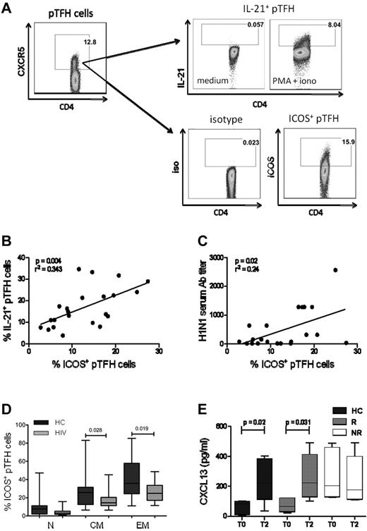 Figure 5. ICOS expression in pTFH cells is correlated with IL-21 production and Ab response to H1N1/09 vaccine. (A) Representative dot plots showing the gating strategy for IL-21 and ICOS expression in pTFH cells, defined as CD4+CXCR5+ events, using appropriate isotype control Abs. Freshly isolated PBMCs at T2 were cultured in complete medium alone or in the presence of PMA, ionomycin, and brefeldin A for 5 hours and stained for intracellular IL-21. (B) Linear correlation of frequency of ICOS+ pTFH cells with IL-21–producing pTFH cells at T2 of 8 HCs, 7 HIV+ responders (R), and 7 HIV+ nonresponders (NR). (C) Linear correlation of frequency of ICOS+ pTFH cells with H1N1 serum Ab titer at T2 for 8 HCs, 7 HIV+ responders, and 7 HIV+ nonresponders. (D) Maturation subsets within ICOS+ pTFH cells. (E) Cryopreserved PBMCs were thawed, rested overnight, and cultured at 1 × 106 cells/mL for 5 days at 37°C with H1N1 vaccine Ag or medium as described. Supernatants were harvested and CXCL13 levels were determined by ELISA. Bar graphs show CXCL13 levels at T0 and T2 after vaccination in 5 HCs, 6 HIV+ responders, and 6 HIV+ nonresponders. Box plots represent median with 25th and 75th percentile borders. Error bars represent the 10th and 90th percentiles.