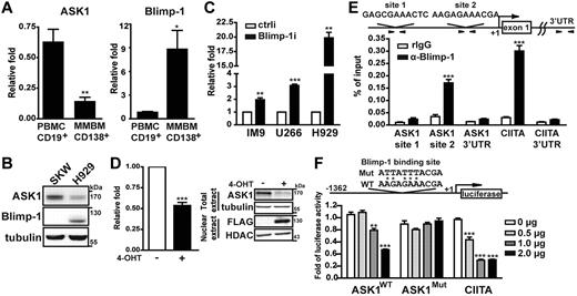 Figure 2. ASK1 expression is directly repressed by Blimp-1. (A) RT-QPCR analysis of mRNA levels of Blimp-1 and ASK1 in mature B cells isolated from peripheral human blood mononuclear cells (PBMC-CD19+) and plasma cells isolated from bone marrow aspirates from patients with MM (MMBM-CD138+). Results were compared with the internal control GAPDH mRNA and further normalized to PBMC-CD19+. Data are mean ± SD (n = 5). (B) Immunoblotting shows the expression of Blimp-1 and ASK1 in SKW6.4 and H929 cells. Tubulin was the loading control. (C) Knockdown of Blimp-1 increases the expression of ASK1 mRNA. Human MM cell lines IM9, U266, and H929 transduced with a lentiviral vector (Blimp-1i or ctrli) for 4 days were subjected to the analysis of ASK1 mRNA expression by RT-QPCR. GAPDH mRNA was used as the internal control, and the results were normalized to the ctrli sample. Data are mean ± SD (n = 3). (D) Induction of Blimp-1 represses ASK1. Blimp-1 was induced by treatment with CdCl2 (5μM) and 4-OHT (3μM) in WI-IL2Blimp1 fused with estrogen ligand binding domain stable transfectants for 24 hours. Induced or uninduced cells were used to prepare RNA (RT-QPCR analysis) and nuclear extract and total-cell lysates (immunoblot analysis). RT-QPCR results were compared with the uninduced samples. Data are mean ± SD (n = 3). (E) Chromatin from H929 cells was immunoprecipitated with anti–Blimp-1 or rabbit IgG (control), and the precipitated chromatin samples were then amplified by QPCR with the use of primer sets spanning the 2 putative Blimp-1 binding sites (ASK1 site 1 and site 2) in the ASK1 promoter, the known Blimp-1 site in the CIITA promoter, and other control loci. Results were normalized to input DNA. (F) Blimp-1 suppresses ASK1 transcription. Raji cells were transfected by electroporation with the indicated doses of Blimp-1 expression plasmid, RL-tk, for normalization control, and the firefly luciferase reporter constructs driven by −1362 to 100 bp relative to the transcriptional start site of ASK1 containing either a WT or mutated (Mut) Blimp-1 binding site. Cells were harvested after 24 hours and subjected to a luciferase assay. Luciferase was normalized to each luciferase reporter control group that had not been transfected with the Blimp-1 expression vector. Results are mean ± SD from 3 independent experiments. *P < .05, **P < .01, ***P < .001. UTR indicates untranslated region.
