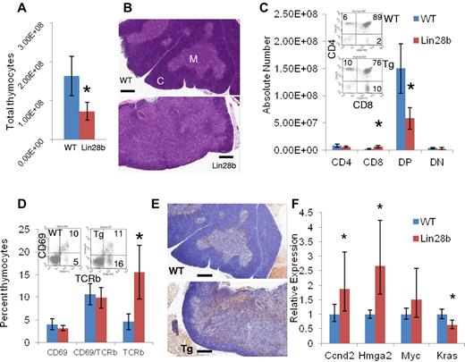 Figure 2. Developmental abnormalities in the Lin28b thymus. (A) Total thymocyte number in WT (blue) or Lin28b (red) thymi (n = 4). (B) H&E staining of WT or Lin28b whole thymus. M indicates medulla; and C, cortex. Scale bar indicates 400 μm. (C) Absolute numbers from the thymus with representative FACS plots showing percentages (inset; n = 4). (D) Retention of mature CD69−/Tcrb+ cells in the thymus (n = 3). Inset shows representative FACS. (E) B220 staining in the medulla of the thymus. Scale bar indicates 400 μm. *P < .05; ***P < .001. WT is indicated by blue; Lin28b, red. (F) Let-7 target gene expression in the thymi from mice 1-4 months of age (n = 6 per genotype). Samples were compared with the WT samples set at 1. *P < .05.