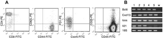 Figure 4. Malignant cells from Lin28b lymph nodes resemble TFH cells. (A) FACS plots describing tumor cell phenotype from mouse 6502. Analyses for CD44/CD62L, CXCR5/PD1, and CD44/CD25 were gated on the CD4+ population. (B) Expression of Bcl6, Cxcl13, Icos, and Il21 in Lin28b tumors. Lanes 1 through 6, WT CD4+ splenocytes, 6502 LN, 6222 LN, 6208 LN, 6297 LN, and w (water).