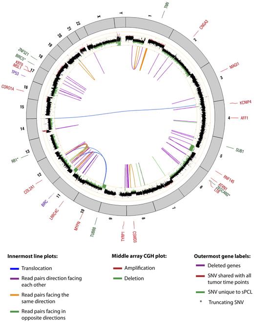 Figure 3. Circos plot depicting the summary of structural variation in the sPCL. The center, line plots indicate the presence of discordant read pairs. The middle ring contains the array CGH plot, and the outermost ring indicates mutated or deleted genes.