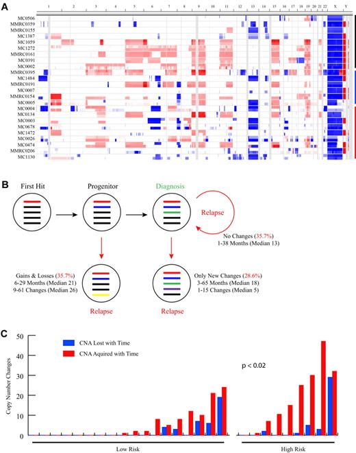 Figure 1. Paired sample analysis identifies 3 patterns of clonal evolution. (A) Heat map showing CNAs in the 24 patients with sample pairs analyzed on the Agilent 244k exclusively (4 samples analyzed on Agilent 44k or mixture of 44k and 244k are not shown). The first 2 sequential samples for each patient are stacked, with the first sample shown on the top. Sample pairs are indicated on the y-axis and chromosome location on the x-axis. Blue shading indicates the presence of copy number loss, red indicates copy number gain, and white indicates regions with no CNA. Black, blue, and red bars indicate groups of patients with no copy number changes, with only acquired new changes, or with both losses and gains of CNA over time, respectively. The latter 2 groups are ordered from top to bottom from the least to the most changes. (B) Summarized findings from the 28 patients with a sequential sample pair. Colored bars represent theoretical CNAs perceived to exist at a particular point in the evolution of the tumor. (C) Bar graph showing the relation between copy number changes and standard (n = 18) and high (n = 8) cytogenetic risk status. Samples are ordered left to right, based on the total number of changes. The number of losses and acquired events are shown independently. There is a significant difference in the total number of changes detected between the standard and high-risk cytogenetic groups (P < .02) with a higher number of changes found in the high-risk group.
