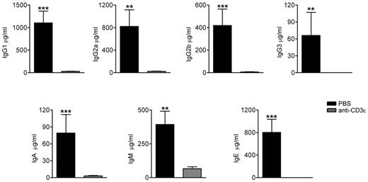 Figure 6. Anti-CD3ε mAb treatment in RAG2R229Q newborns decreases serum Ig levels. Sera from PBS (n = 11) and anti-CD3ε mAb (n = 8) mice were collected and run in duplicate to obtain the concentration of the different Ig subsets; ***P = .0003, **P = .0041.