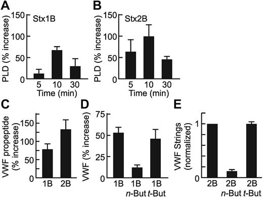 Figure 1. PLD activity is required for Stx B-induced VWF secretion. Confluent HUVECs were incubated with 0.2 μg/mL Stx1B (A) or Stx2B (B) for the indicated time, and PLD activity in cell lysates was assayed. Values are normalized to untreated cells (0 minutes) and shown as the mean ± SE for 3 experiments. (C) Confluent HUVECs in 24-well dishes were stimulated for 30 minutes with 0.2 μg/mL Stx1B or Stx2B. Secreted VWF propeptide was quantified by ELISA for each condition. Values shown are the mean ± SE from 3 replicates. Mean VWF propeptide concentrations were 6 ng/mL, 11 ng/mL, and 15 ng/mL for control, Stx1B-, and Stx2B-treated cells, respectively. (D) Confluent HUVECs in 24-well dishes were pretreated for 30 minutes with or without 25mM n-butanol or t-butanol, then stimulated for 30 minutes with 0.2 μg/mL Stx1B. Cell surface-associated VWF was quantified by ELISA in triplicate for each condition. Values shown are the mean ± SE from 4 independent experiments. (E) Confluent HUVECs were perfused at 2.5 dyn/cm2 with 200 ng/mL Stx2B, with or without preincubation with n-butanol or t-butanol. VWF strings were counted in 10 fields, and values are shown as the mean ± SE, normalized to the Stx2B condition for each experiment. Experiments were conducted ≥ 3 times with similar results. For each panel, values for Stx1B or Stx2B are significantly different from control cells (P < .05). (D-E) Inhibition by n-butanol is significant (P < .01).