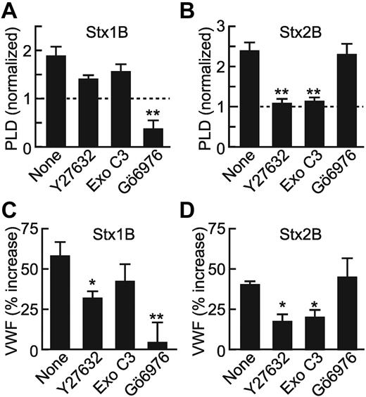 Figure 4. Differential effects of PKCα and Rho inhibitors on Stx1B- and Stx2B-induced VWF secretion and PLD activation. HUVECs were preincubated with buffer or ROCK inhibitor Y27632 (100μM), Rho family GTPase inhibitor exoenzyme C3 (1 μg/mL), or PKCα inhibitor Gö6976 (2μM) before stimulation with Stx1B (A) or Stx2B (B) for 10 minutes. PLD activity was quantified as described in “Methods.” Graphs represent the average results of 3-5 independent experi-ments. HUVECs were treated with inhibitors before stimulation with Stx1B (C) or Stx2B (D). Cell-surface VWF under each condition was quantified as described in “Methods.” Values for each condition were normalized to the amount of VWF secreted by unstimulated cells. Data reflect the average results of 4 independent experiments. Comparisons with the reference condition are significantly different as indicated: *P < .05; **P < .01.