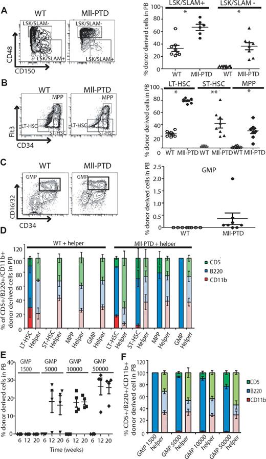 Figure 4. Increased repopulating activity of HSPCs from MllPTD/WT mice is not restricted to phenotypically identified HSCs but also comes from ST-HSCs and myeloid progenitors. The fractions of WT or MllPTD/WT (CD45.2+) BM cells were transplanted into lethally irradiated CD45.1+/CD45.2+ WT recipient mice along with 1 × 105 WT (CD45.1+) helper cells. Engraftment was assessed 16 weeks after transplantation. Shown is the mean ± SD percentage of donor-derived WT or MllPTD/WT cells (CD45.2+) in recipient PB. (A) Equal number of LSK/SLAM+ (3.5 × 102) or LSK/SLAM− (3.5 × 103) fractions from WT or MllPTD/WT BM cells were transplanted into CD45.1+/CD45.2+ WT recipient mice (2 experiments, n = 8). (B) WT or MllPTD/WT (CD45.2+) LT-HSCs (8 × 102) or ST-HSCs (1.2 × 103) or MPP (3.5 × 103) were transplanted into CD45.1+/CD45.2+ WT recipient mice (2 experiments, n = 8). (C) WT or MllPTD/WT (CD45.2+) GMP population cells (3.5 × 103) were transplanted into CD45.1+/CD45.2+ WT recipient mice (2 experiments, n = 8). (D) Frequency of lineage-repopulation myeloid (CD45.2+CD11b+) or B (CD45.2+B220+) or T (CD45.2+CD5+) cells compared with competitor (CD45.1) derived lineage-repopulation present in CD45.1+/CD45.2+ WT recipient mice. *P < .05. **P < .01. (E) MllPTD/WT (CD45.2+) GMP population cells in serial diluted dose (1.5 × 103, 5 × 103, 1 × 104, and 5 × 104) were transplanted into CD45.1+/CD45.2+ WT recipient mice (n = 4). Engraftment was assessed at 6, 12, and 20 weeks after transplantation (n = 4). (F) Frequency of donor-derived lineage-repopulation myeloid or B or T cells compared with competitor (CD45.1) derived lineage-repopulation present in CD45.1+/CD45.2+ WT recipient mice. Data are shown at 12 weeks after transplantation.