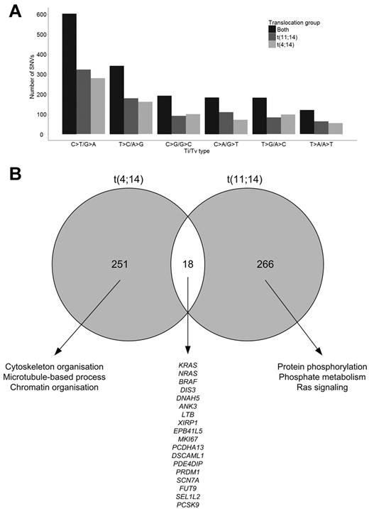 Figure 1. Composition of somatic variations. (A) Transition and transversion rates in sample groups. (B) Intersection of t(4;14) and t(11;14) genes with NS SNVs and indels.