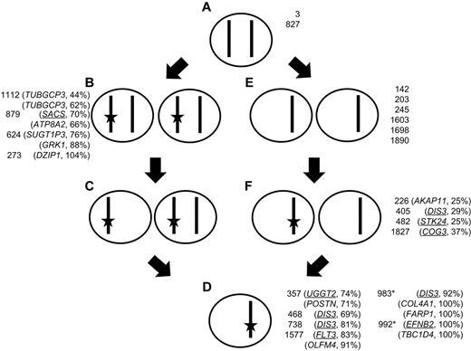 Figure 2. Dynamic relationship of mutation to LOH on chromosome 13. A cell with 2 copies of a given chromosome (A) can gain a mutation (star) in 1 copy (B) and subsequently delete the unaltered copy, giving rise to a mixed population of cells (C) that then, through selection, results in a clonal population of cells with a mutation and deletion (D); or alternatively, the original cell (A) could delete 1 copy of the chromosome (E) and subsequently a subpopulation mutates the remaining allele (F) that is the selected for giving rise to a clonal population with both deletion and mutation (D). Samples are shown next to the cell genotype, as defined by sequencing and copy number data, along with the mutated gene on chromosome 13. Synonymous and NS (underlined) SNVs are shown. Asterisk indicates interstitial deletion of RB1 region detected with mutation in a region of normal copy number.