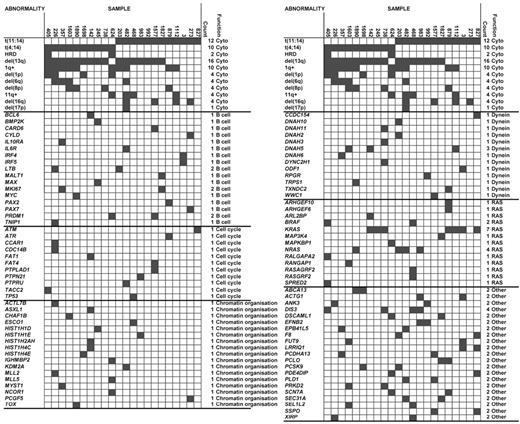 Figure 3. Association of abnormalities and mutations. Cytogenetic data repeated at the top of each column.