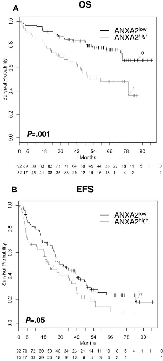 Figure 4. Effect of ANXA2 expression within the BM on EFS and OS. Shown are OS (A) and EFS (B; n = 154). Two groups of patients with low (ANXA2low, black curve) and high (ANXA2high, gray curve) ANXA2 expression. OS was significantly superior for low ANXA2 expression (P = .001); the same held true for EFS (P = .05).