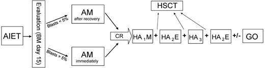 Figure 1. Flowchart of the NOPHO-AML 2004 protocol. High-risk patients were eligible for HSCT after completing 3 courses but before the last consolidation (HA2E). AIET indicates cytarabine 200 mg/m2 continuous infusion days 1-4, 6-thioguanine 100 mg/m2 bis in die (bid) days 1-4, etoposide 100 mg/m2 days 1-4, idarubicin 12 mg/m2 days 2, 4, and 6. AM indicates cytarabine 100 mg/m2 continuous infusion days 1-5, mitoxantrone 10 mg/m2 days 1-3. HA1M indicates cytarabine 1 g/m2 bid days 1-3, mitoxantrone 10 mg/m2 days 3-5. HA2E indicates cytarabine 2 g/m2 bid days 1-3, etoposide 100 mg/m2 days 2-5. HA3 indicates cytarabine 3 g/m2 bid days 1-3. GO indicates gemtuzumab ozogamicin 5 mg/m2 days 1 and 21.